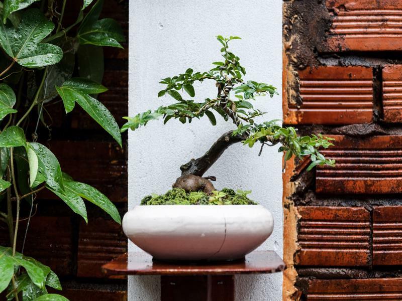 Ngoc Qui Bungalow Phu Quoc Exterior photo