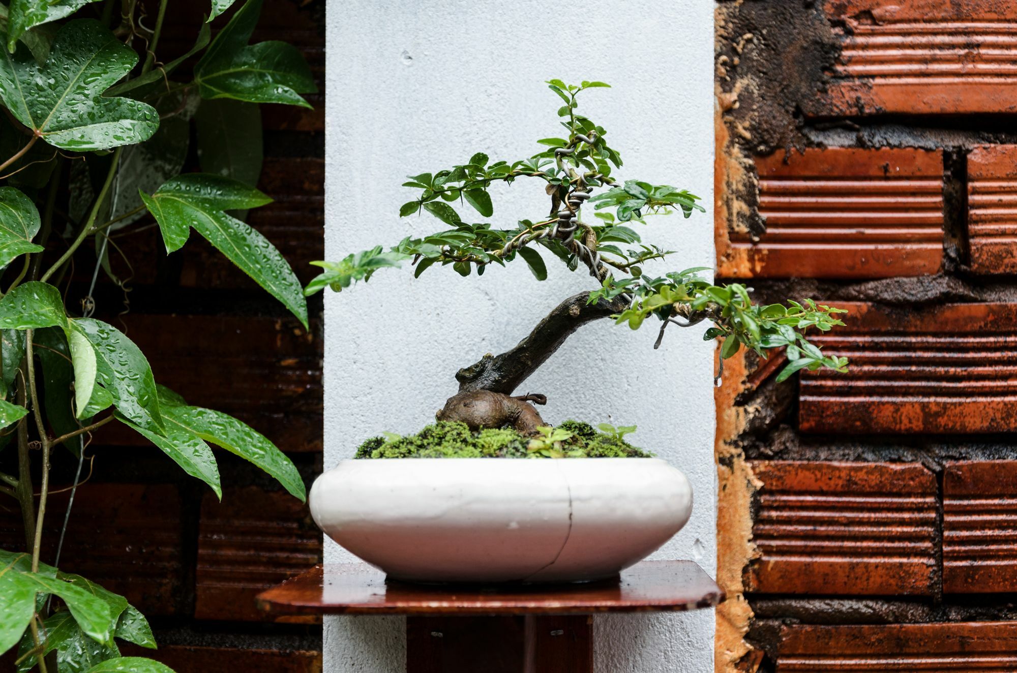 Ngoc Qui Bungalow Phu Quoc Exterior photo